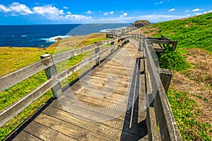 The Nobbies Phillip Island