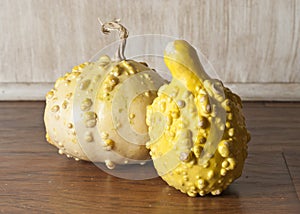 Nobby Gourds