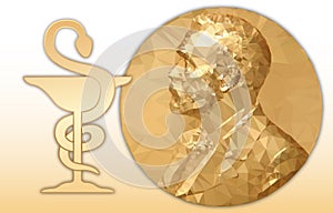 Nobel Chemistry award, gold polygonal medal and chemistry symbol