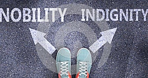 Nobility and indignity as different choices in life - pictured as words Nobility, indignity on a road to symbolize making decision