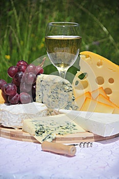 Queso vino blanco 