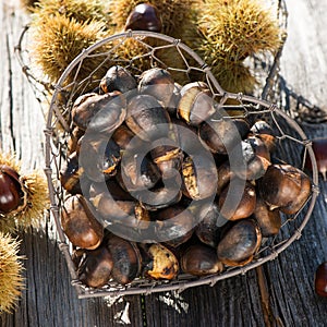 Noble chestnuts