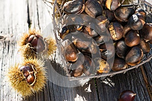 Noble chestnuts