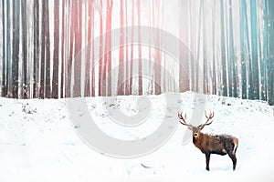 Noble deer in the background of a winter fairy forest. Snowfall. Winter Christmas holiday image