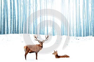 Noble deer in the background of a winter fairy forest. Snowfall. Winter Christmas holiday image.