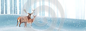 Noble deer in a winter magic forest. Christmas fantastic image. Copy space. Winter wonderland.