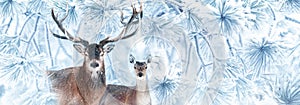 Noble deers in a fabulous coniferous snowy forest. Winter wonderland. Banner format.