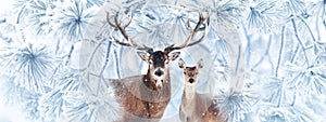 Noble deers in a fabulous snowy forest. Winter wonderland. Banner format.