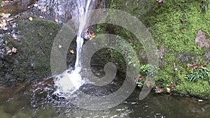 Noble grave waterfalls in the Black Forest