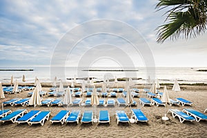 Nobody at the beach un empty clients summer business. many seats and closed umbrellas in tropical summer place. vacation and relax