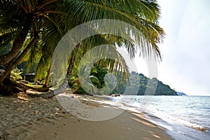 Nobody at the Petani Beach at the Perhentian Kecil Island in Malaysia