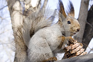 Nobody take away my cone!
