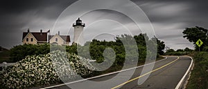 Nobska Lighthouse on top of the hill with wild flowers and bushes at Woods Hole