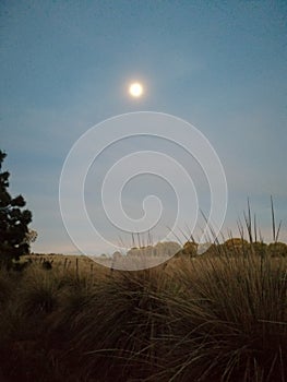 Noche de luna photo