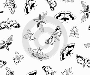 Nocturnal moth, butterflies and moth, seamless vector background in outline, pattern. Flying insects, nature, entomology and entom