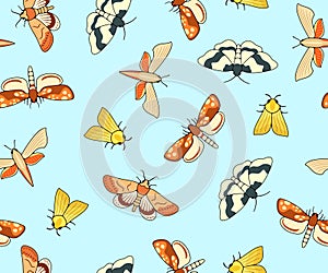 Nocturnal moth, butterflies and moth, seamless vector background, wallpaper, banner, pattern. Flying insects, nature, entomology a