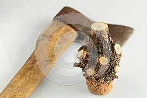 Nodal part of a tree trunk with cut branches and an old ax on a white background