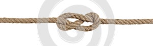 knot Savoia