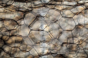 Nodules of Polystyrene under the microscope