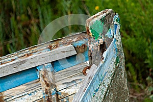 The Noirmoutier boats cemetery.