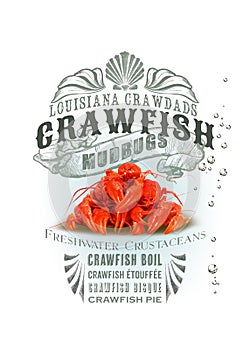 NOLA Collection Louisiana Crawfish Background photo