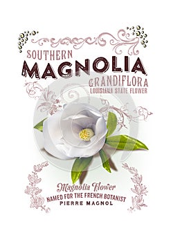 NOLA Collection Louisiana Magnolia Background