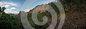 Nolina Plants Flank The Pinnacles Trail In The Chisos Mountains Of Big Bend