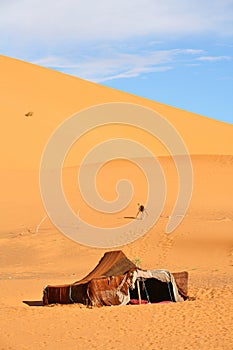 The nomad (Berber) tent