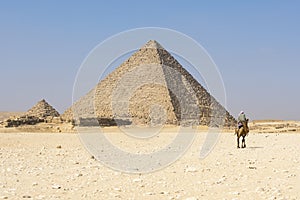 Nomad on a camel in the complex of pyramids of Giza, Egypt