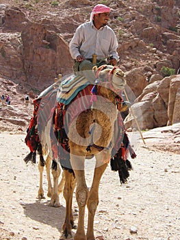 Nomad in the desert