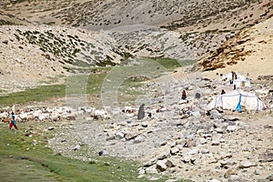 Nomad people in Ladakh, India