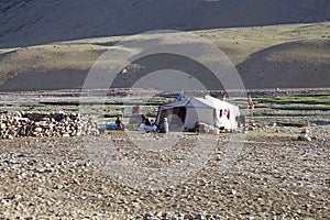 Nomad people in Ladakh, India