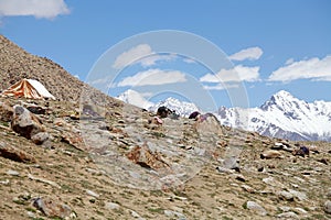Nomad people near the Khardung Pass, Ladakh, India
