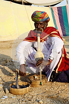 Nomad snake charmer playing pungi at camel mela,Pushkar,India