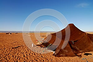 Nomad Tent in Sahara Desert