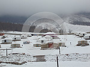 Nomadic tents in the tranquil Bogd Khaan valley, Ulaanbaatar, Mongolia.