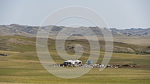 Nomadic Yurt Family Mongolia