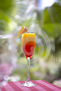 Non-alcoholic cocktail on the background of palm trees. A refreshing drink of red and yellow color. Tropical background