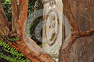 The non-catholic cemetery of Testaccio in Rome