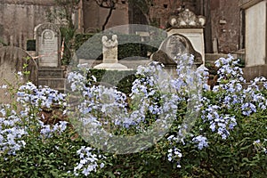 The non-catholic cemetery of Testaccio in Rome