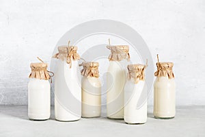 Non dairy plant based milk in bottles and ingredients on light background. Alternative lactose free milk substitute