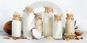 Non dairy plant based milk in bottles and ingredients on light background. Alternative lactose free milk substitute