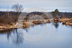 Non-freezing river on winter forest backgrounds