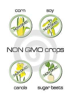Non GMO crops set of signs: corn, soy, canola, sug