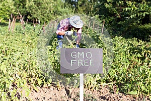 Non GMO vegetable garden photo