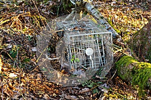 Small mammal trap photo