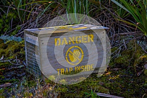 Non lethal or humane steel animal trap used to catch small mammals for tagging or relocation