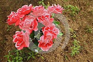 Non-natural bouquet of roses in ground on grave