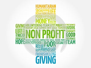 Non Profit word cloud collage