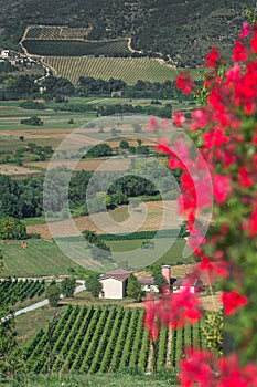 Non-urban green valley landscape with mountains in Italian Abruzzo